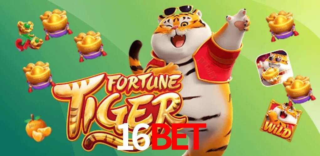 Crash Games Statistics 16BET